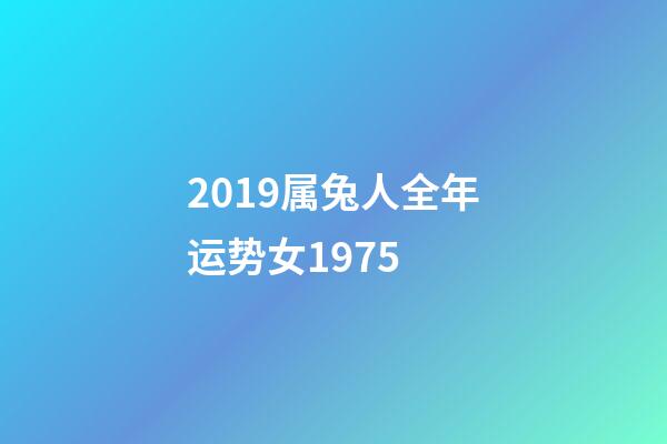 2019属兔人全年运势女1975 (1975属兔的2017年运势)-第1张-观点-玄机派